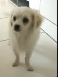 Nick