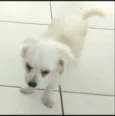 Nick