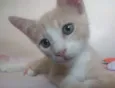 Jr.