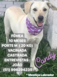 CANDY
