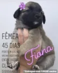 Fione