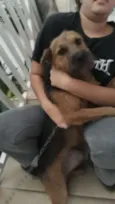 Mel