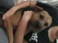 Mel