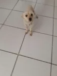Mel