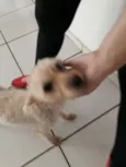 Mel