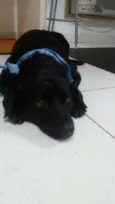Frederico