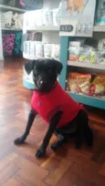 Frederico