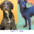 Milly e Sara 