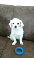 Nick