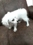 Nick
