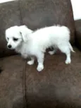 Nick