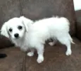 Nick