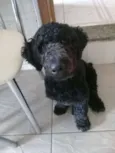 SNOOPY