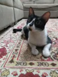 Anita