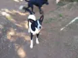 BENNY