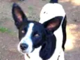 BENNY