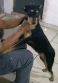 Preta