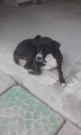 Tião