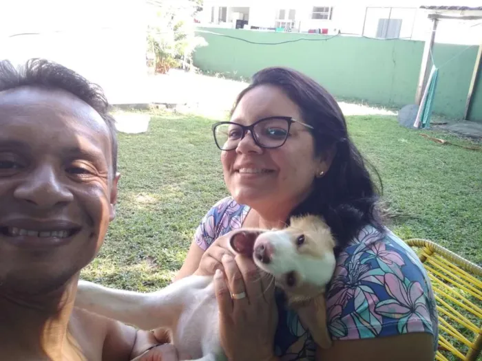 Cachorro ra a Vira lata idade 1 ano nome Bela