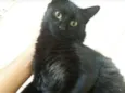 Marvin