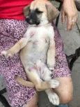 Luna
