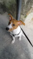 Amora