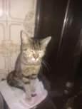 Princesa