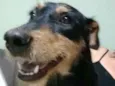 Preta