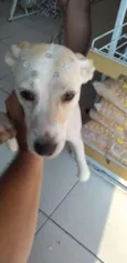 Mel