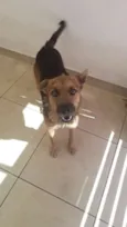 Mel