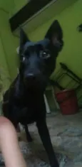 Lola