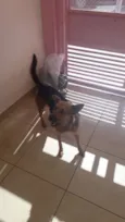 Mel