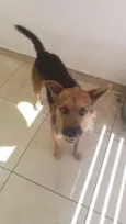 Mel