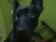 Lola