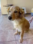 Princesa