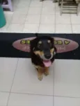 Caio
