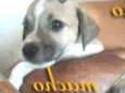 Sem nome