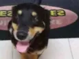 Caio