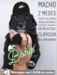 BÓRIS