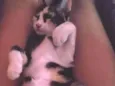 Pintada