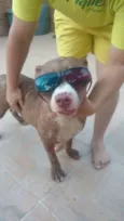 Taz