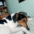 Oliver
