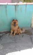 Mac