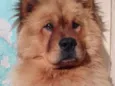 Mac