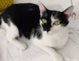 Nina
