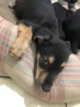 X2
