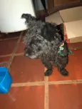 Não sei