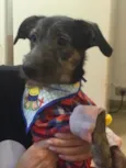 Lennon