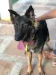 Sofia
