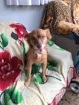 Julie